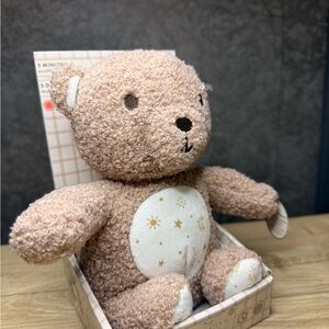 Adorable Brown Teddy Bear Plush Toy with light